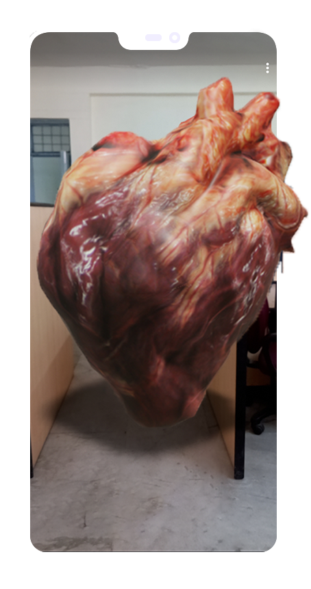 edorbit demo heart